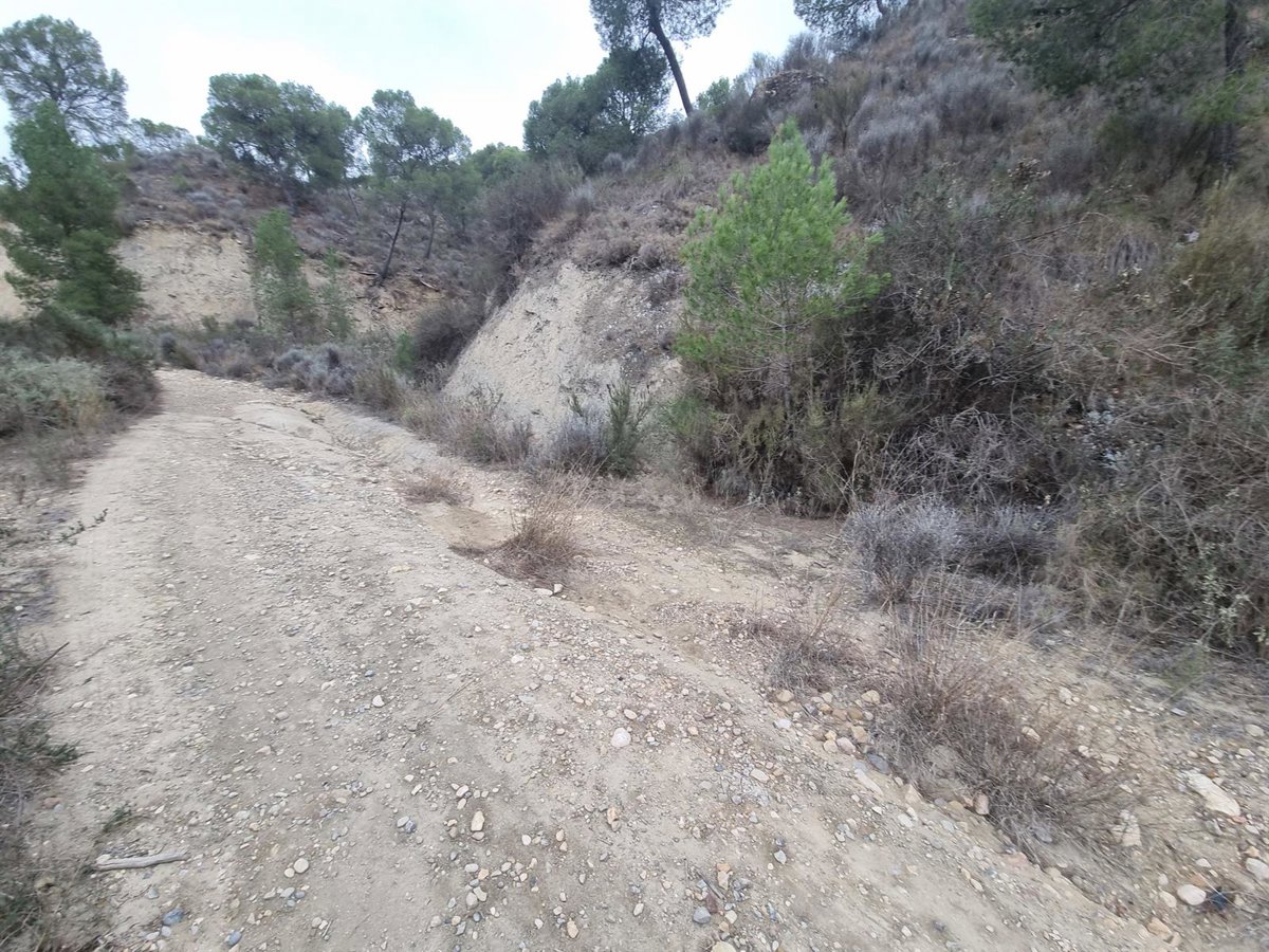 El Gobierno regional refuerza la vigilancia forestal y la prevención de incendios en Lorca, Totana y Mazarrón