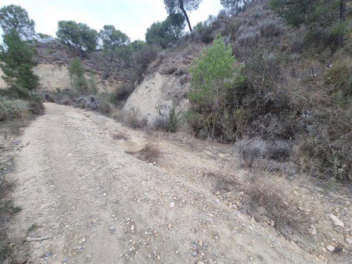 Deslizamiento de camino de acceso El Algarrobo (Mazarrón)