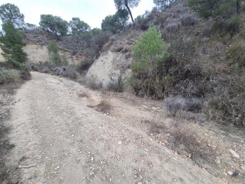 Deslizamiento de camino de acceso El Algarrobo (Mazarrón)