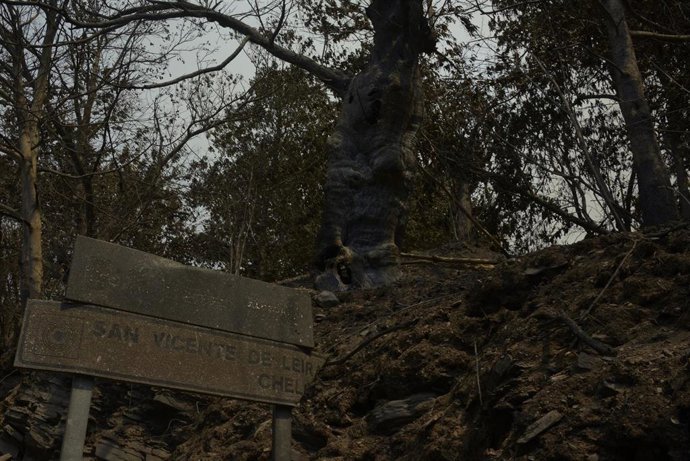 Vista tras el incendio en San Vicente de Leira en Villamartín de Valdeorras, Ourense