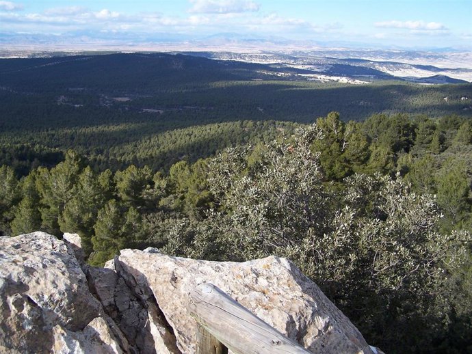 Parque Natural de la Sierra de María-Los Vélez (Almería)