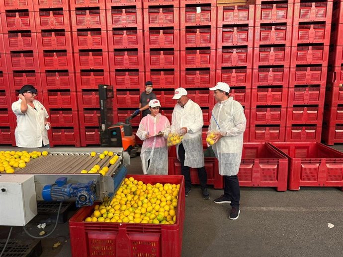 El secretario General de la Consejería, Francisco González Zapater, durante su visita a una empresa donde se realizaron controles a limones procedentes de terceros países