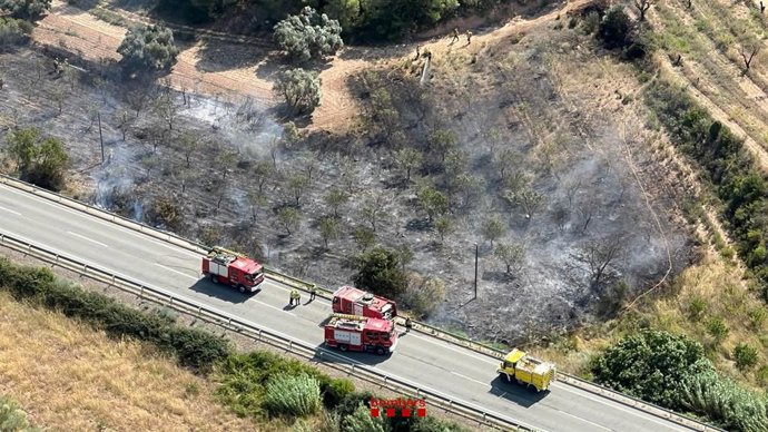 Los Bombers de la Generalitat controlan un incendio en un campo de almendros en La Fatarella (Tarragona)