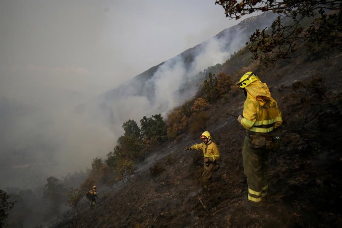Varios bomberos forestales tratan de extinguir el fuego, a 19 de agosto de 2025, en Palacios de Compludo, León, Castilla y León (España).