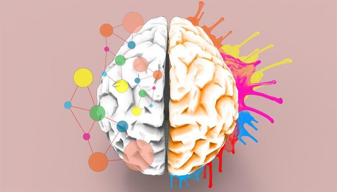 Archivo - Cerebro.
