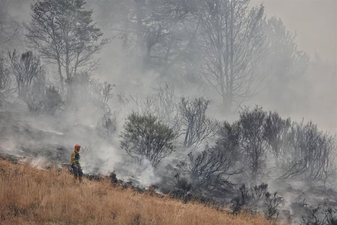 Varias personas tratan de extinguir un fuego en el Puerto de San Glorio, en León.- Archivo