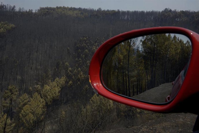Vista tras el incendio en los montes de Cernego, a 19 de agosto de 2025, en Villamartín de Valdeorras, Ourense, Galicia (España). 