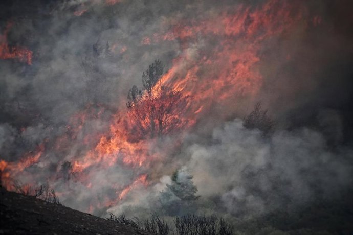 Imagen de un incendio en el Puerto de San Glorio, León. 