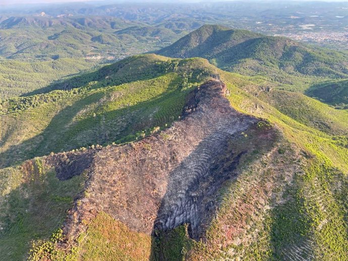 Incendio forestal de Artana (Castellón)
