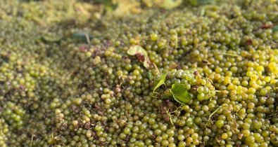 EpAgro - Agricultura