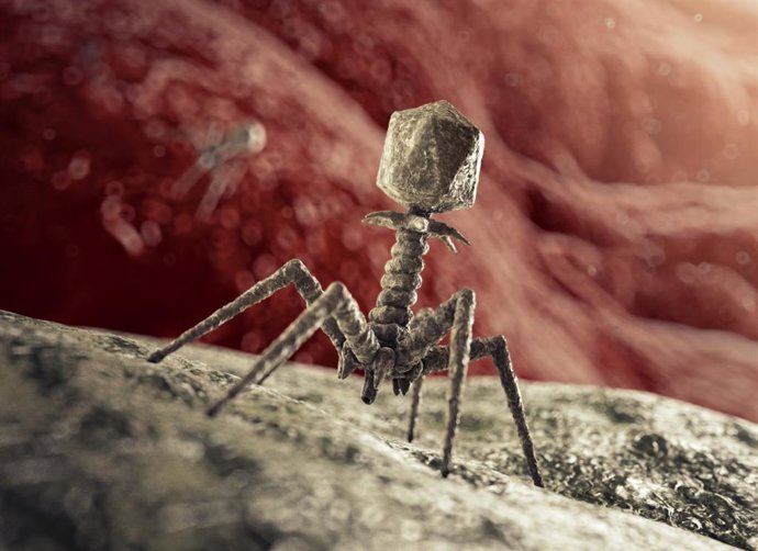 Archivo - Virus bacteriófago.