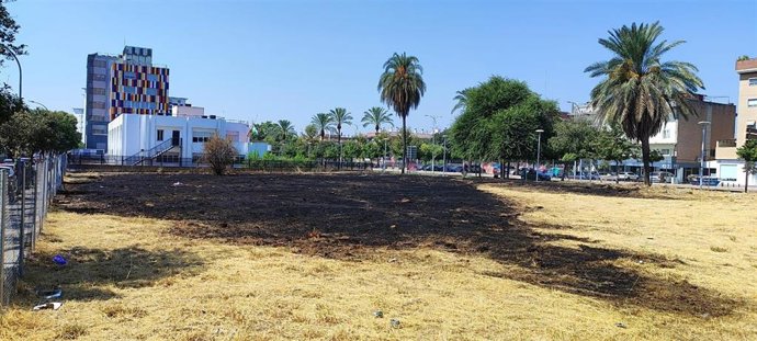 Solar con cesped seco y calcinado, junto al Centro de Salud del Sector Sur (al fondo).
