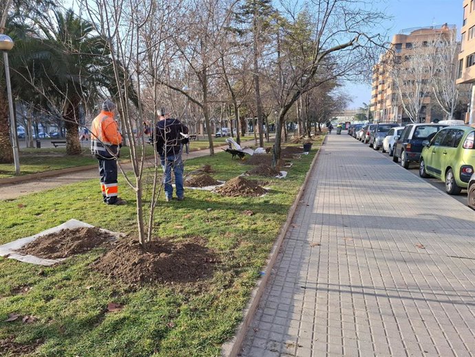 Huesca incorpora 491 árboles nuevos durante 2025 y tiene 26,78 m2 de zona verde por habitante
