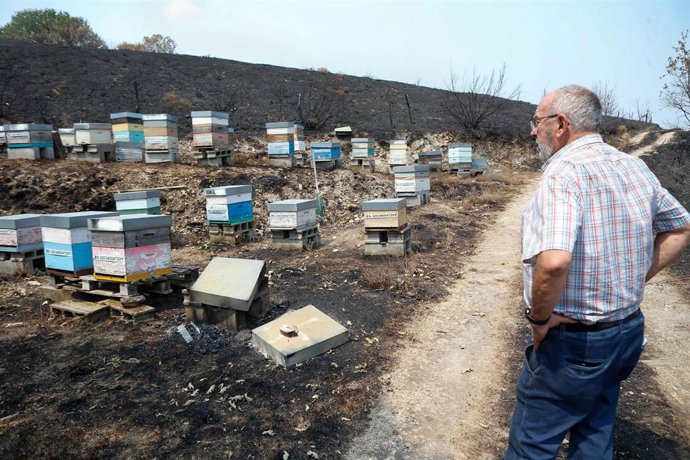 El alcalde de A Gudiña, Néstor Ogando, visita sus colmenas quemadas por los incendios