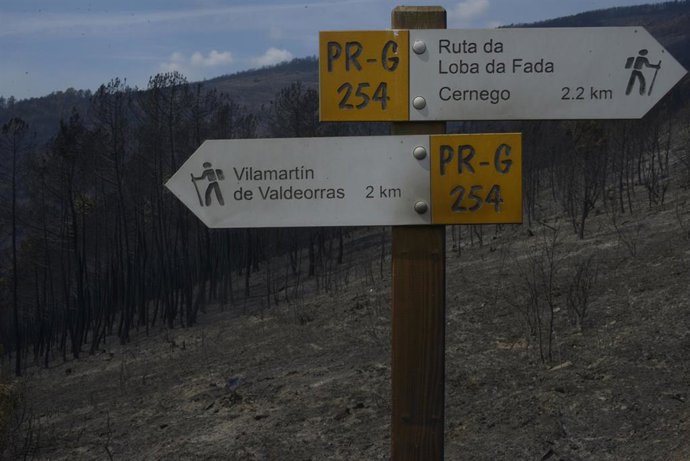 Vista tras el incendio en los montes de Cernego. Foto de archivo