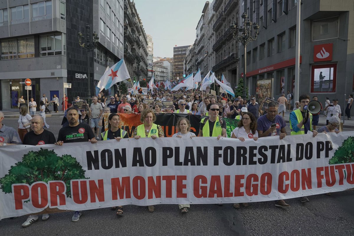 Miles de manifestantes reclaman en toda Galicia un  monte libre de incendios  y piden la  dimisión  de Rueda