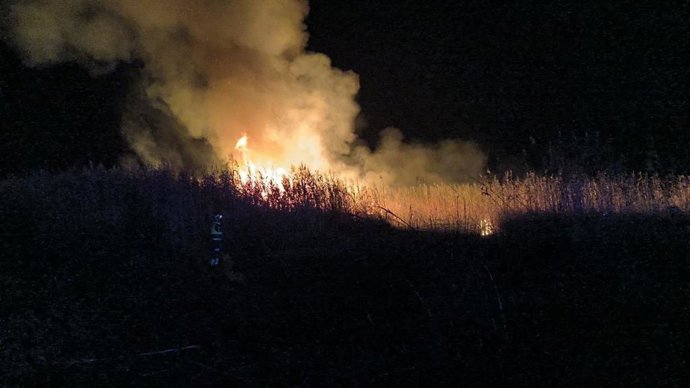 Declarado un incendio forestal en el parque natural s'Albufera