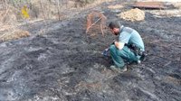 El Seprona asume las pesquisas del incendio de s'Albufera