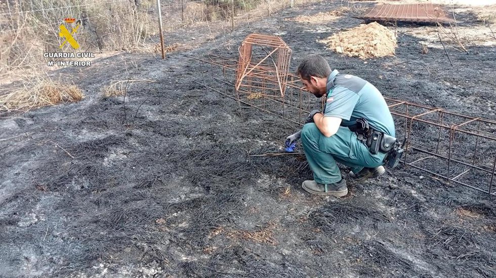 Un agente del Seprona investiga las causas de un incendio.