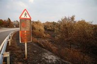 El peligro de incendios sigue alto o extremo en Galicia, oeste de CyL, Extremadura, Andalucía oriental y zonas del este