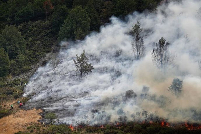 Vista del incendio, a 19 de agosto de 2025, en el Puerto de San Glorio, León, Castilla y León (España). Aunque los incendios se encuentran controlados, tanto el Gobierno de Castilla y León como el de Cantabria mantienen el Índice de Gravedad Potencial 2 (