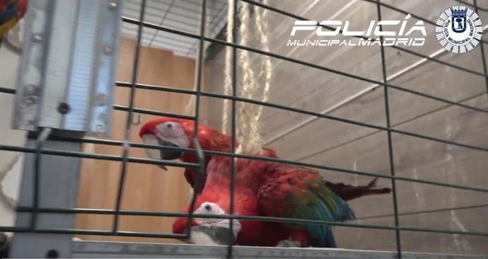 Vídeo de la noticia