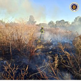 Un bombero del Consorcio de la Provincia de Cádiz actuando en un incendio en la carretera de Medina