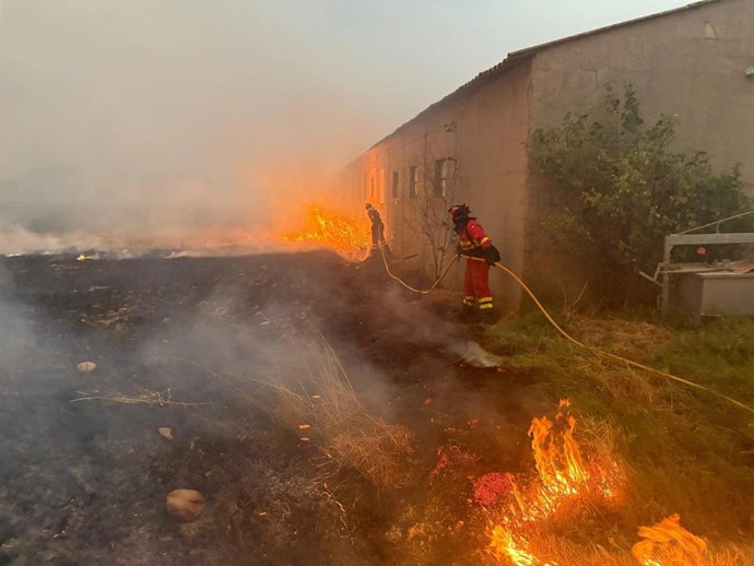 Efectivos trabajan contra el fuego.