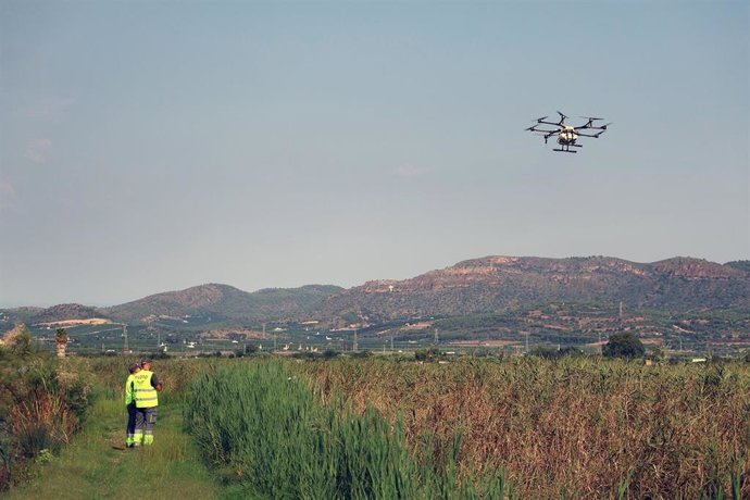 Lucha contra los mosquitos con tratamientos aéreos en Sagunto
