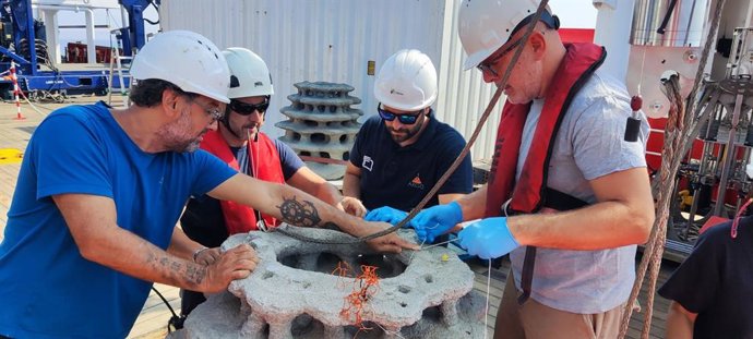 Desarrollo del proyecto Life Dream del CSIC.