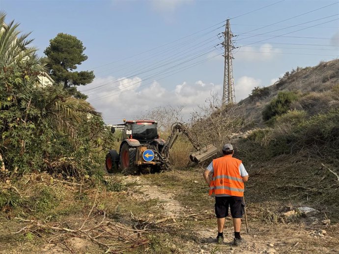 Vídeo de la noticia