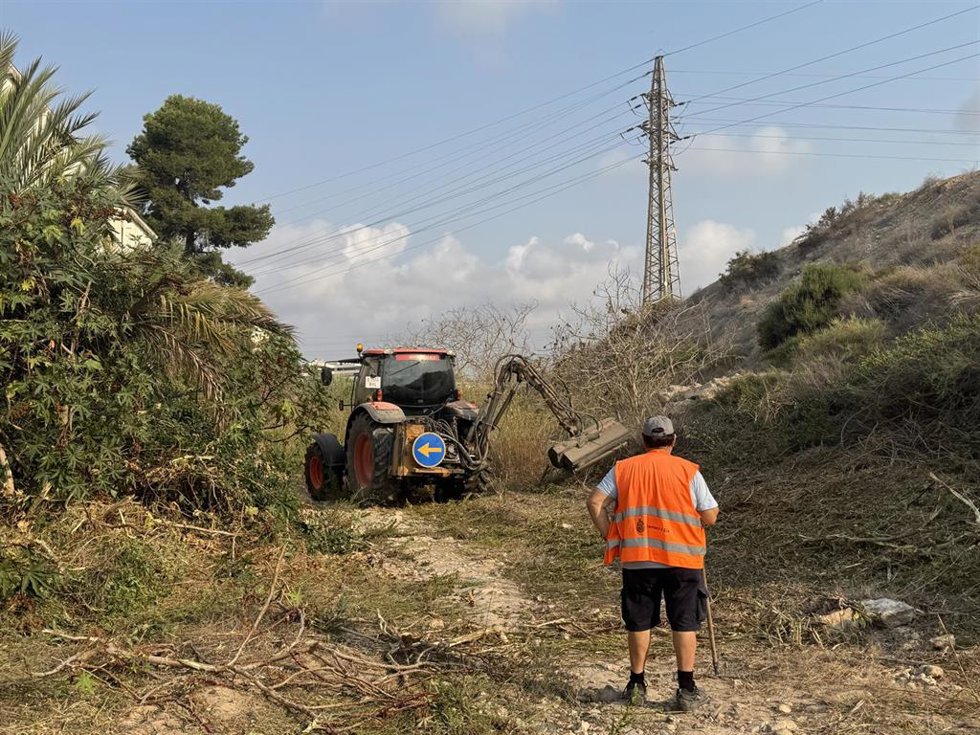 Trabajos de limpieza y desbroce en el barranco de San Antón en la ciudad de Elche