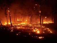 La Comunidad afea al Gobierno no asumir la coordinación en los incendios y le pide "un paso adelante" con las ayudas