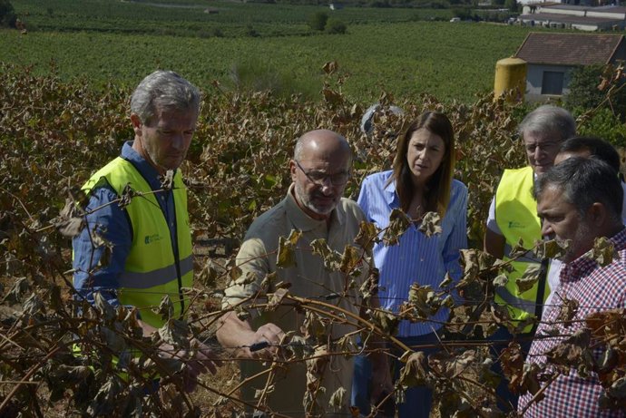 Rueda durante la visita a los viñedos de la Bodega Tapias Mariñán afectados por los incendios.