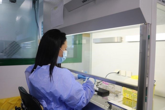 Sanidad informa de que el brote de salmonella en Gran Canaria afecta a diecisiete personas