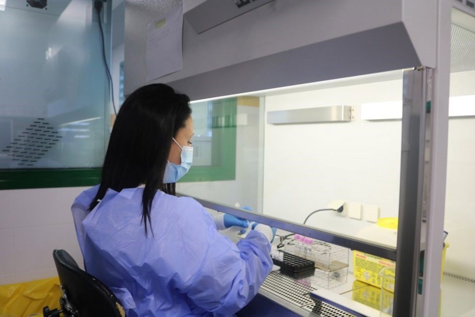 Sanidad informa de que el brote de salmonella en Gran Canaria afecta a diecisiete personas