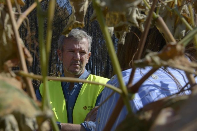 El presidente de la Xunta, Alfonso Rueda, durante su visita a los viñedos de la Bodega Tapias Mariñán afectados por los incendios forestales, a 22 de agosto de 2025, en Verín, Ourense, Galicia (España).