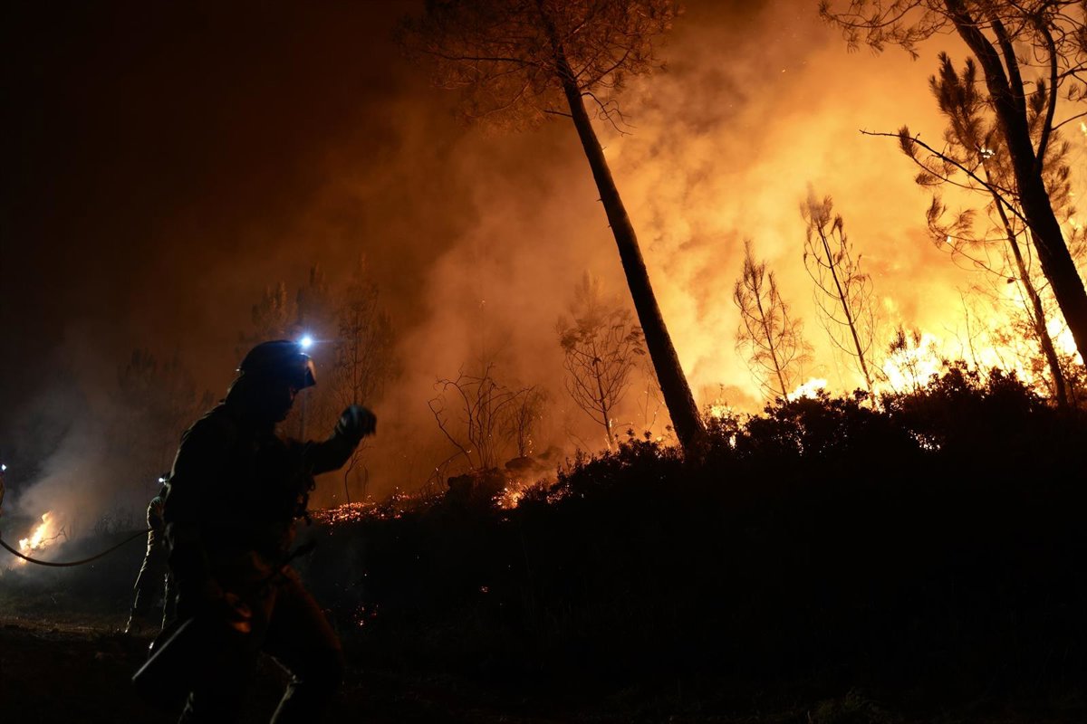 El fuego arrasa 91.579,51 hectáreas en España hasta el 17 de agosto, a falta de incluir los incendios de CyL y Galicia