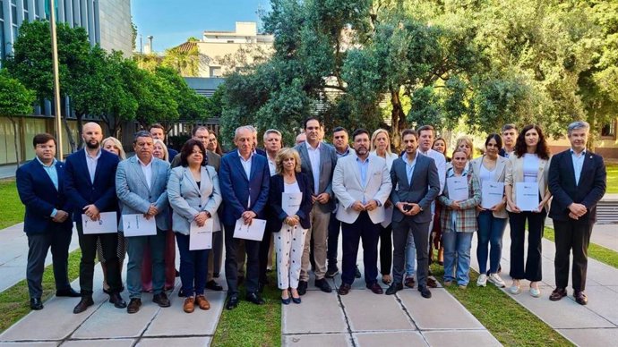 Asistencia de los alcaldes del PP al pleno de Diputación donde se trataba el 'Plan Sevilla 2030'. Foto de archivo.