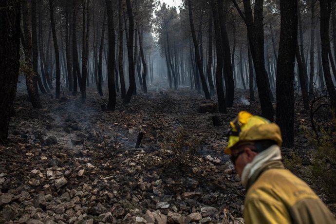 Archivo - Un bombero trabaja en la extinción del incendio en la Sierra Culebra , a 16 de junio de 2022, en Zamora, Castilla y León, (España). La Junta de Castilla y León ha declarado nivel 2 del Plan de Protección Civil ante Emergencias por Incendios Fore
