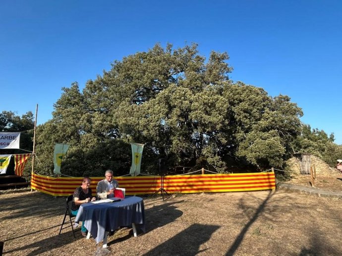 La alcaldesa de Bárcabo (Huesca), Carmen Lalueza, y el consejero de Medio Ambiente y Turismo, Manuel Blasco, firman el convenio junto a la Carrasca milenaria de Lecina.