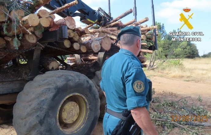 Agenes de la Guardia Civil, durante la investigación.