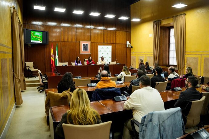 Archivo - La consejera de Inclusión Social, Juventud, Familias e Igualdad, Loles López, en una comparecencia en comisión del Parlamento andaluz. (Foto de archivo).