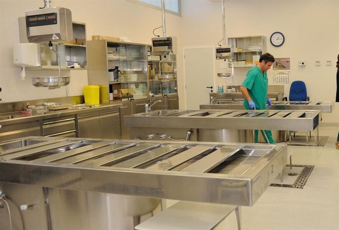 Archivo - Instituto de Medicina Legal en una imagen de archivo 