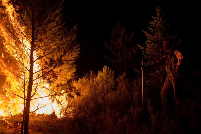 Un bombero forestal trata de extinguir el fuego, a 22 de agosto de 2025, en Argayo, León, Castilla y León (España). Ayudados por la caída de las temperaturas y una climatología más benigna que la de los últimos días, los servicios de extinción de incendio