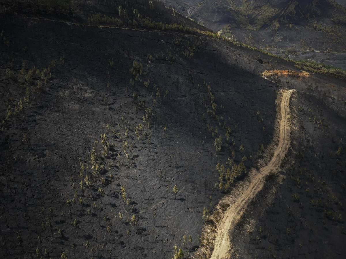 Estabilizado el incendio de Larouco (Ourense), el mayor de la historia de Galicia con 30.000 hectáreas