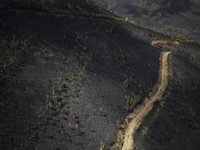 Estabilizado el incendio de Larouco (Ourense), el mayor de la historia de Galicia con 30.000 hectáreas