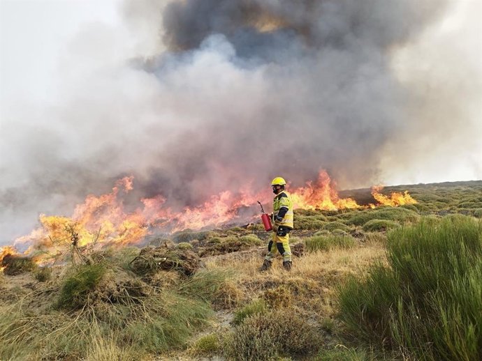 Bomberos valencianos realizan labores de quema y seguridad y maniobras de fuego técnico en incendios de Castilla y León