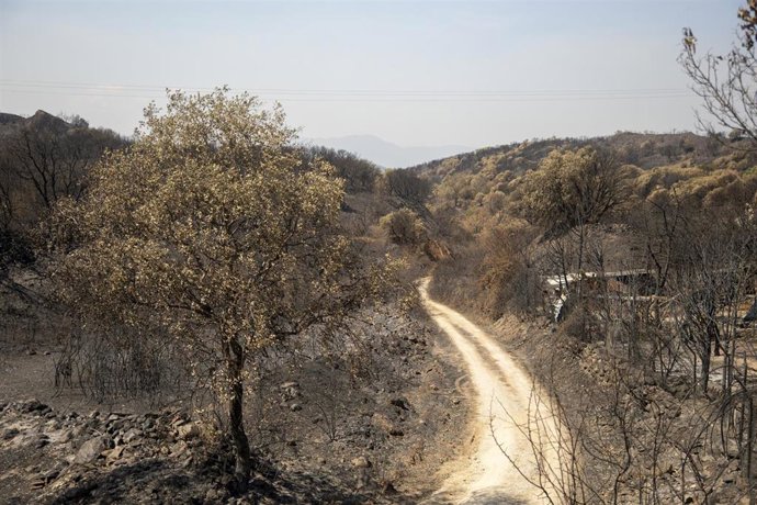 Zona calcinada de Las Médulas, a 22 de agosto de 2025, en Las Médulas, Carucedo, León, Castilla y León (España)