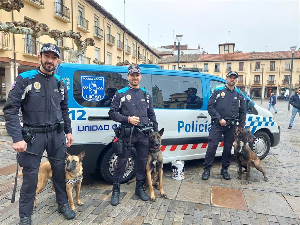Imagen de los tres agente y los tres perros que componen la Unidad Canina de la Policía Local de Palencia